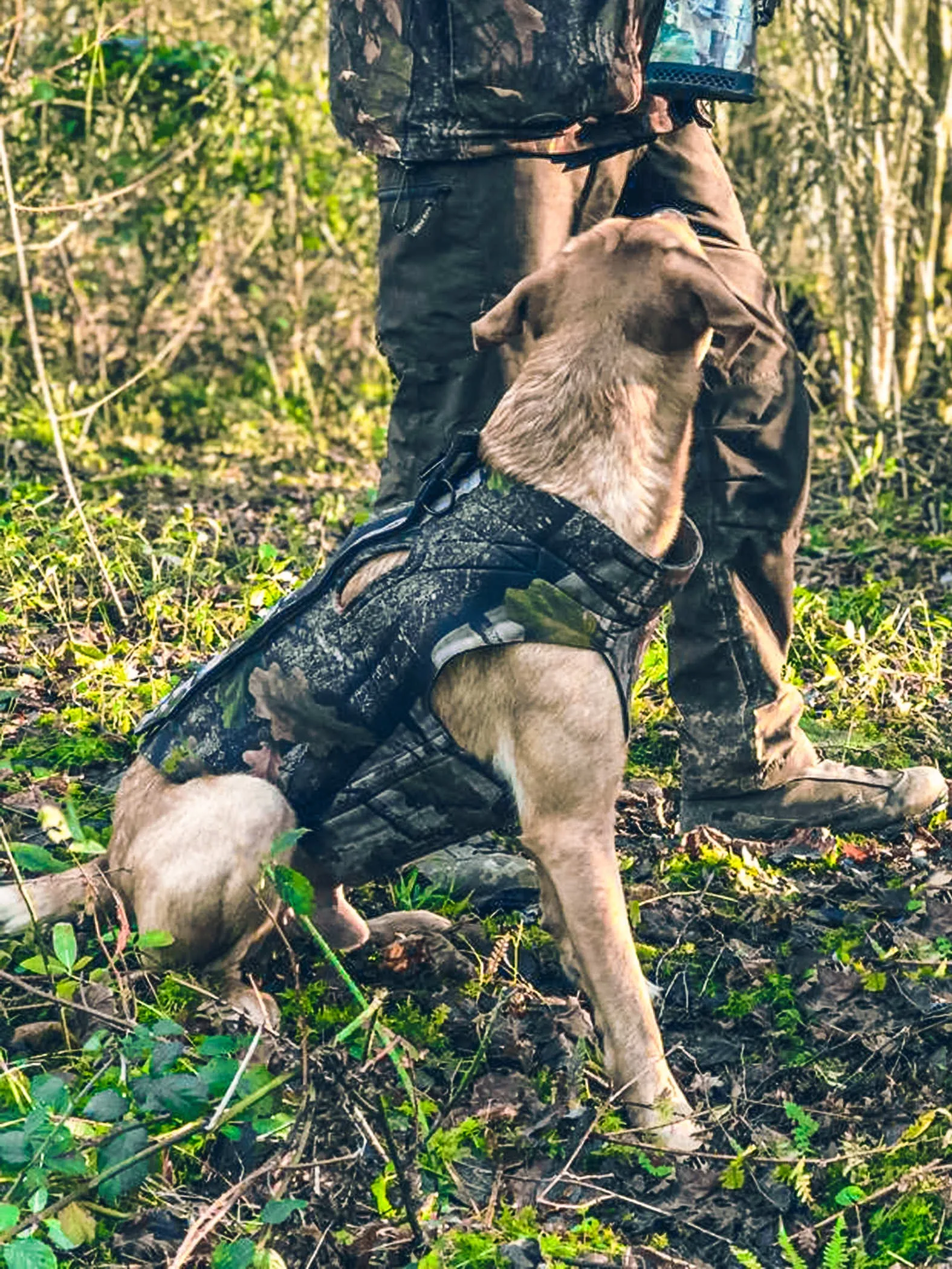 JACK PYKE Gen2 Technical Neoprene Dog Vest