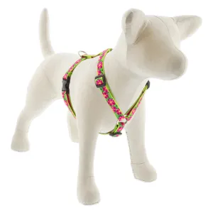 LUPINE Roman Dog Harness 3/4" Wide 20"-32" Girth Size Petunias