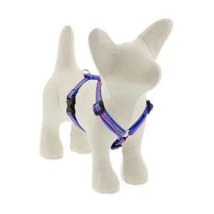 Lupine Roman Harness 1/2" Wide x 12"-20" Girth Ripple Creek