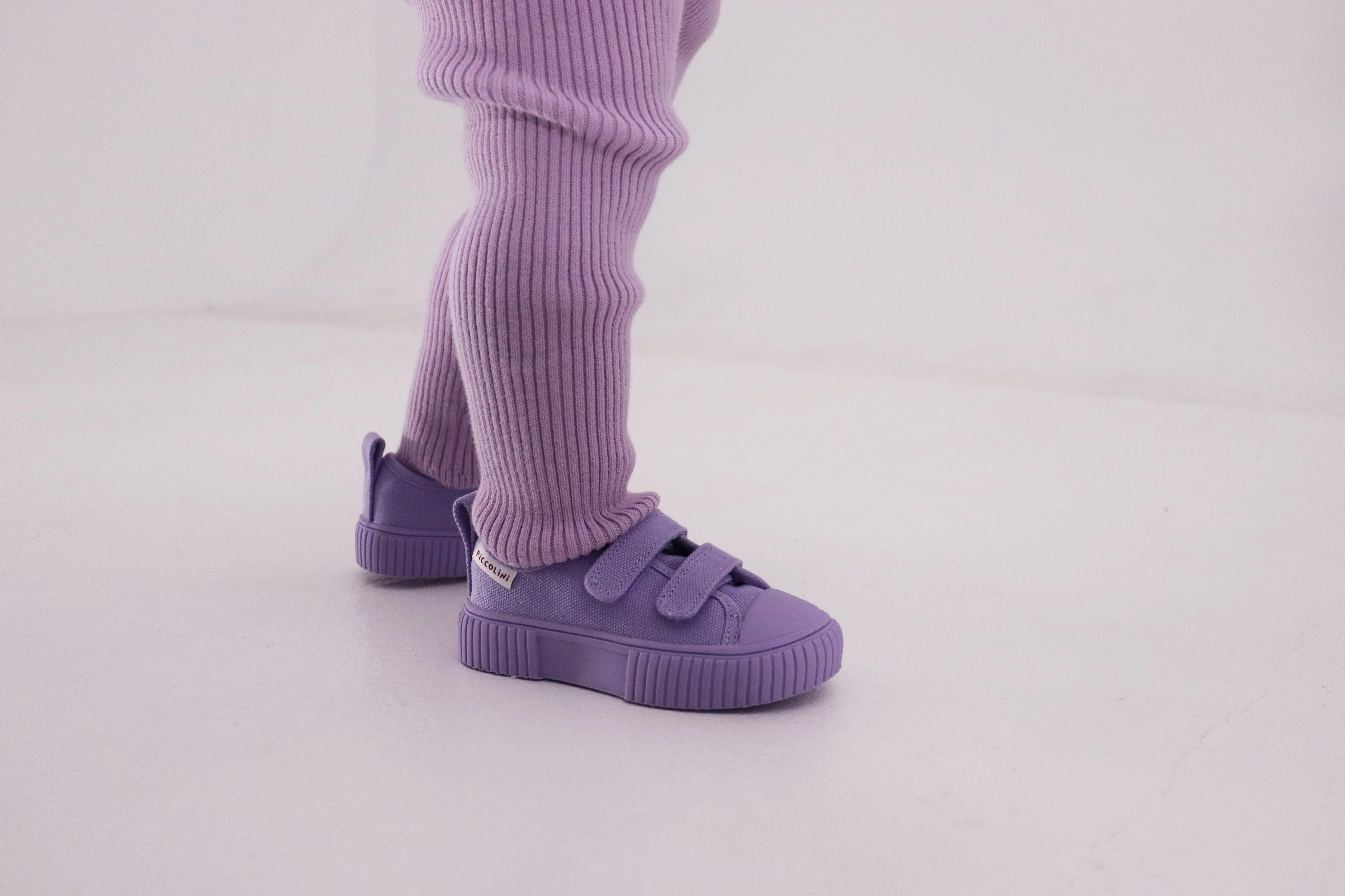 piccolini limited edition low top sneaker - lilac