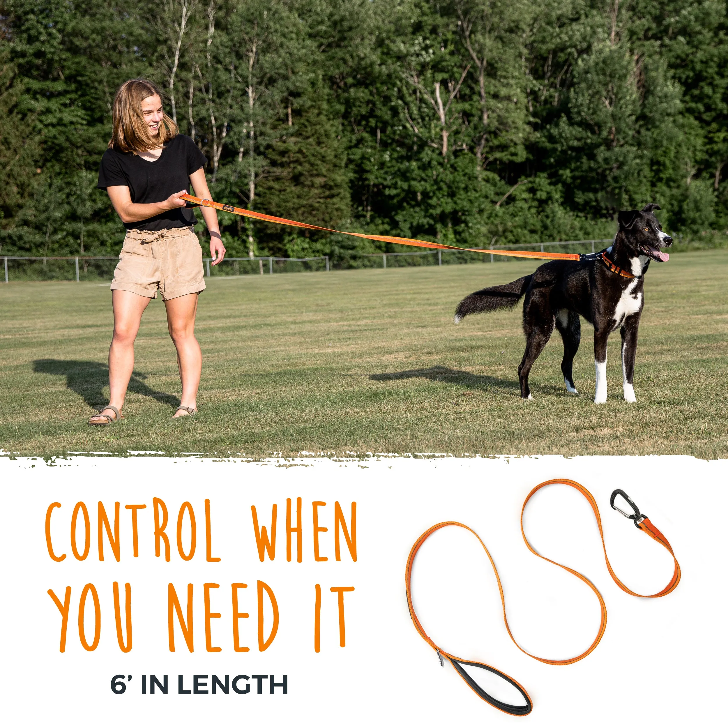 Reflective Dog Leash with Neoprene Handle