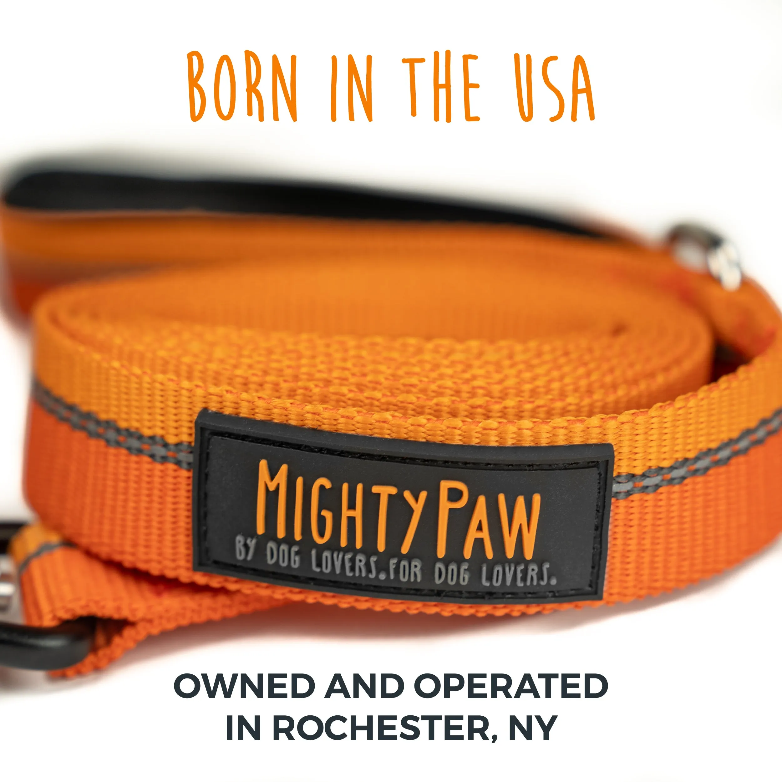 Reflective Dog Leash with Neoprene Handle