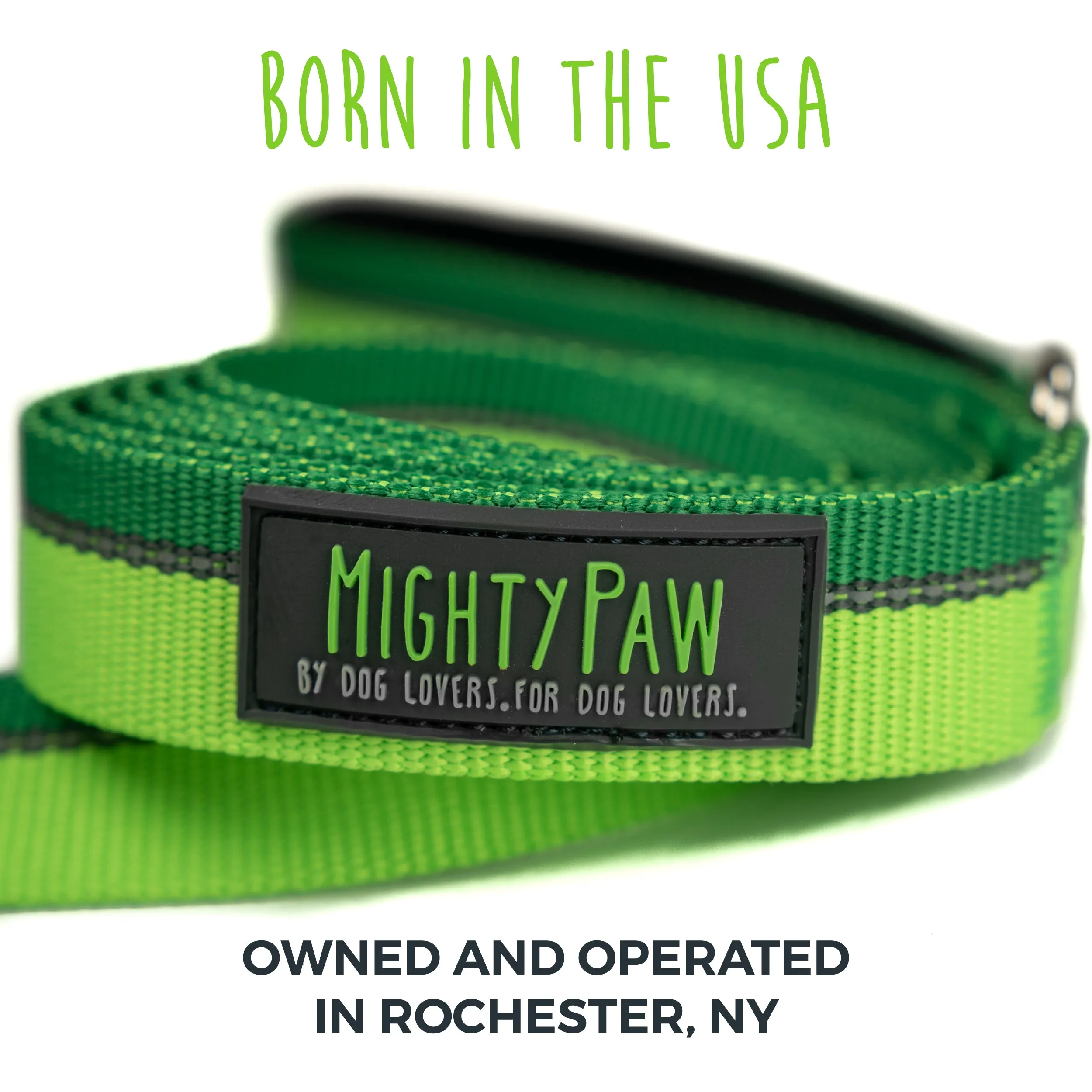 Reflective Dog Leash with Neoprene Handle