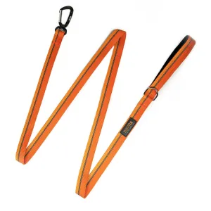 Reflective Dog Leash with Neoprene Handle