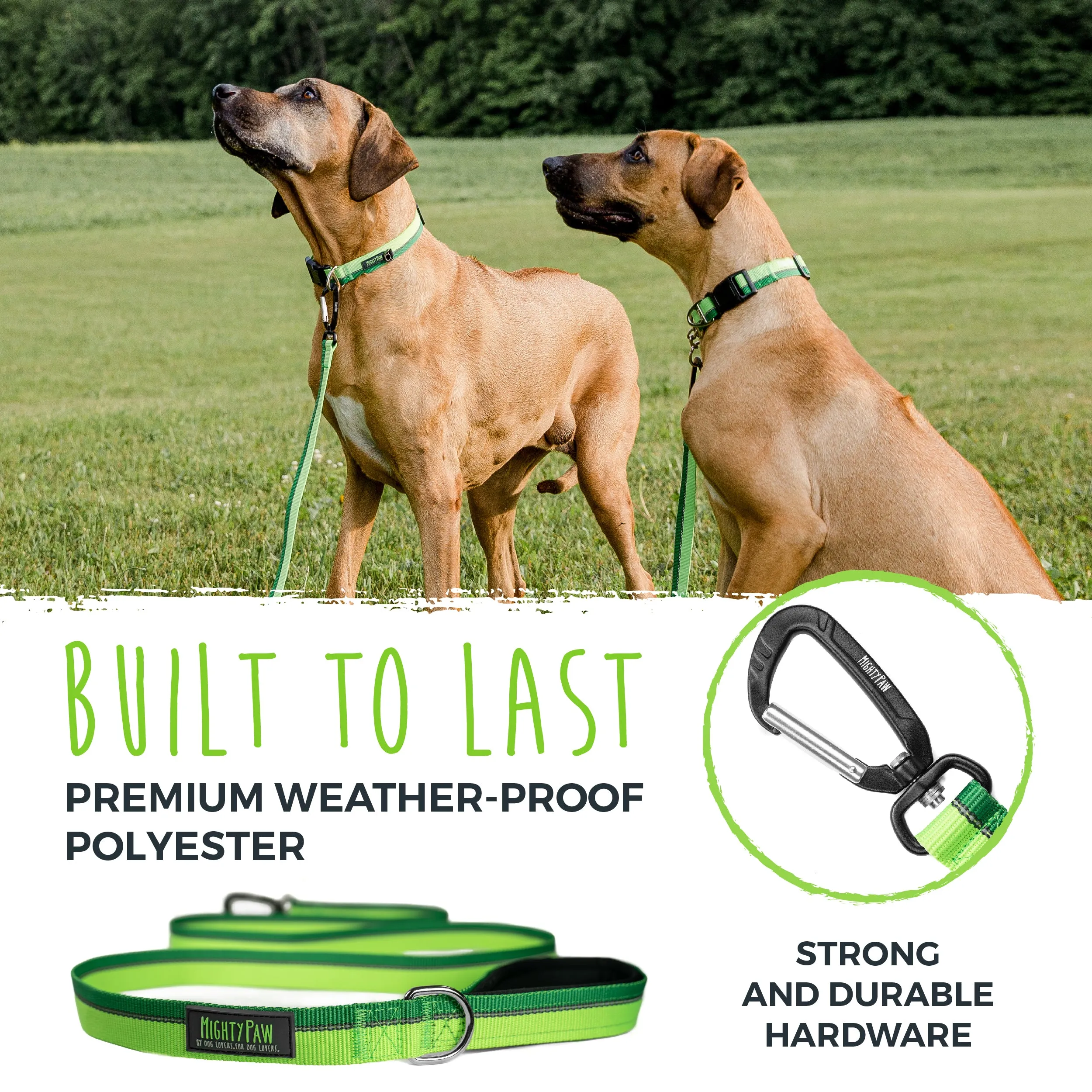 Reflective Dog Leash with Neoprene Handle
