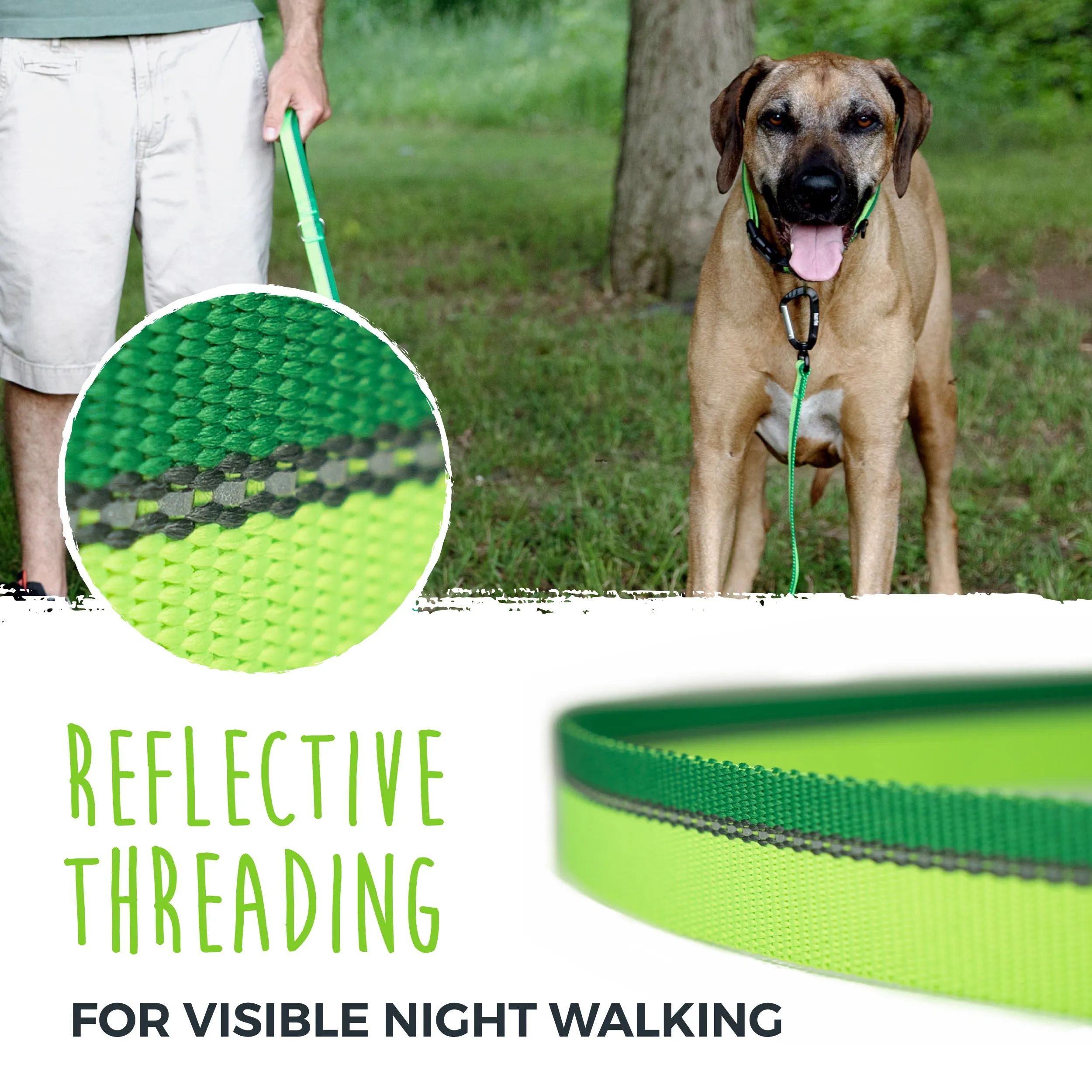 Reflective Dog Leash with Neoprene Handle