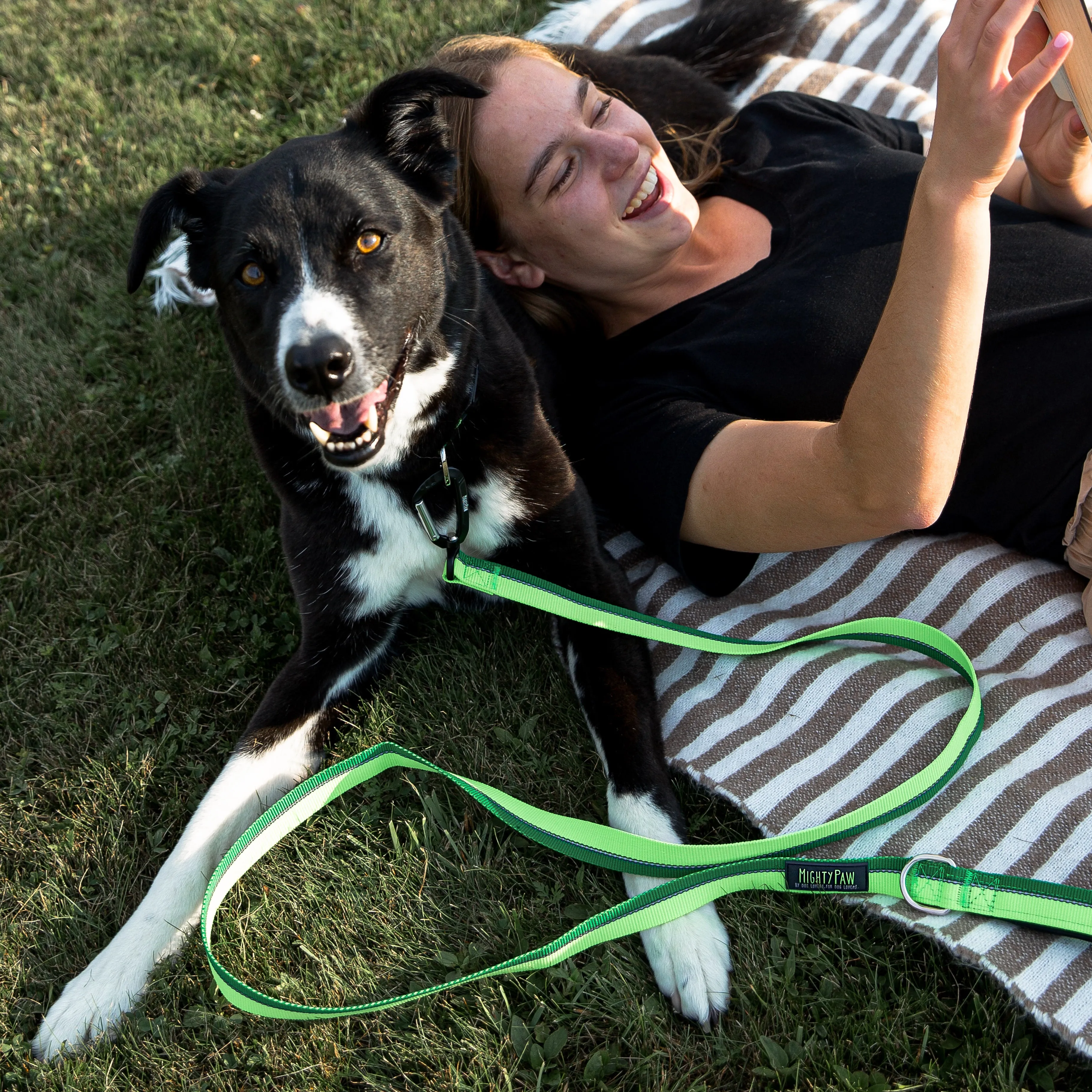 Reflective Dog Leash with Neoprene Handle