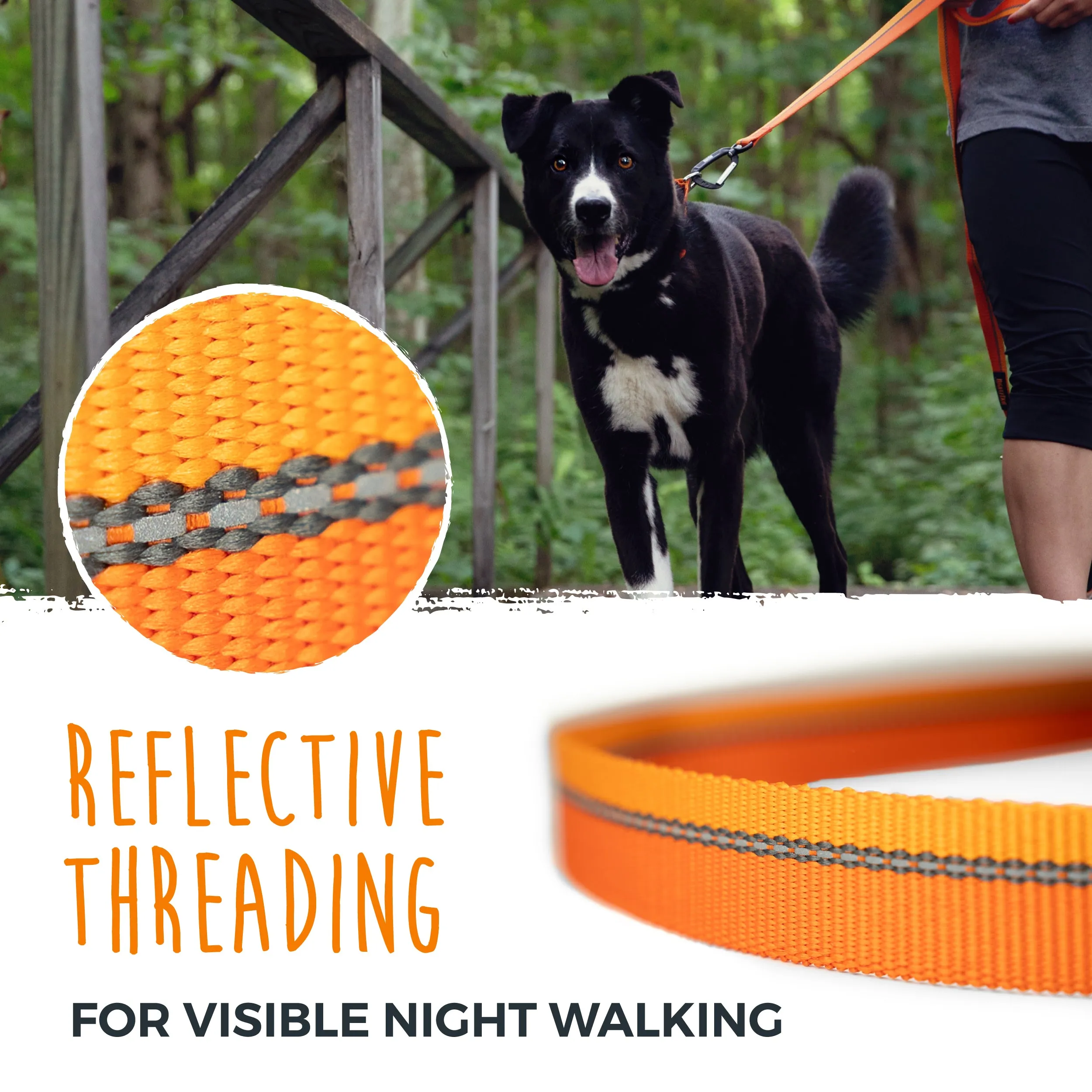 Reflective Dog Leash with Neoprene Handle