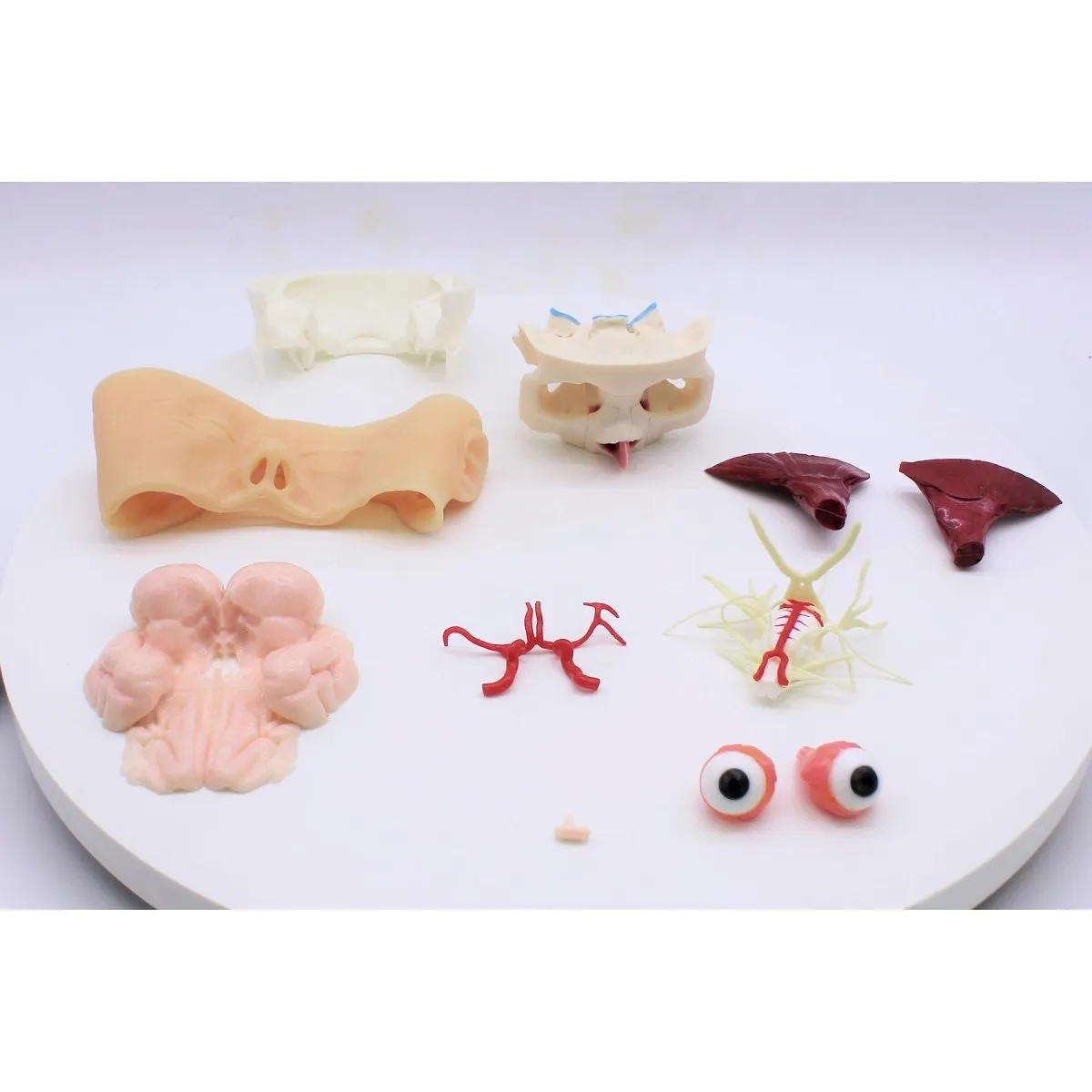 Skull Base Surgery Simulator