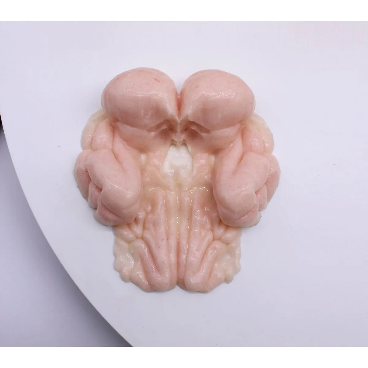Skull Base Surgery Simulator