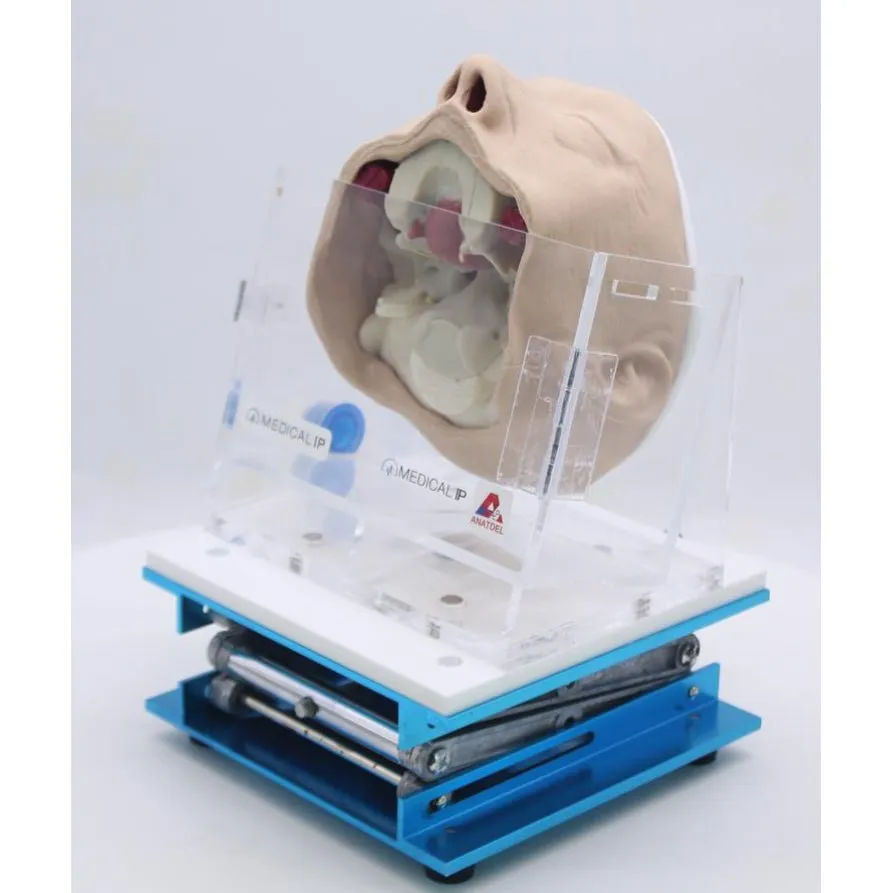 Skull Base Surgery Simulator