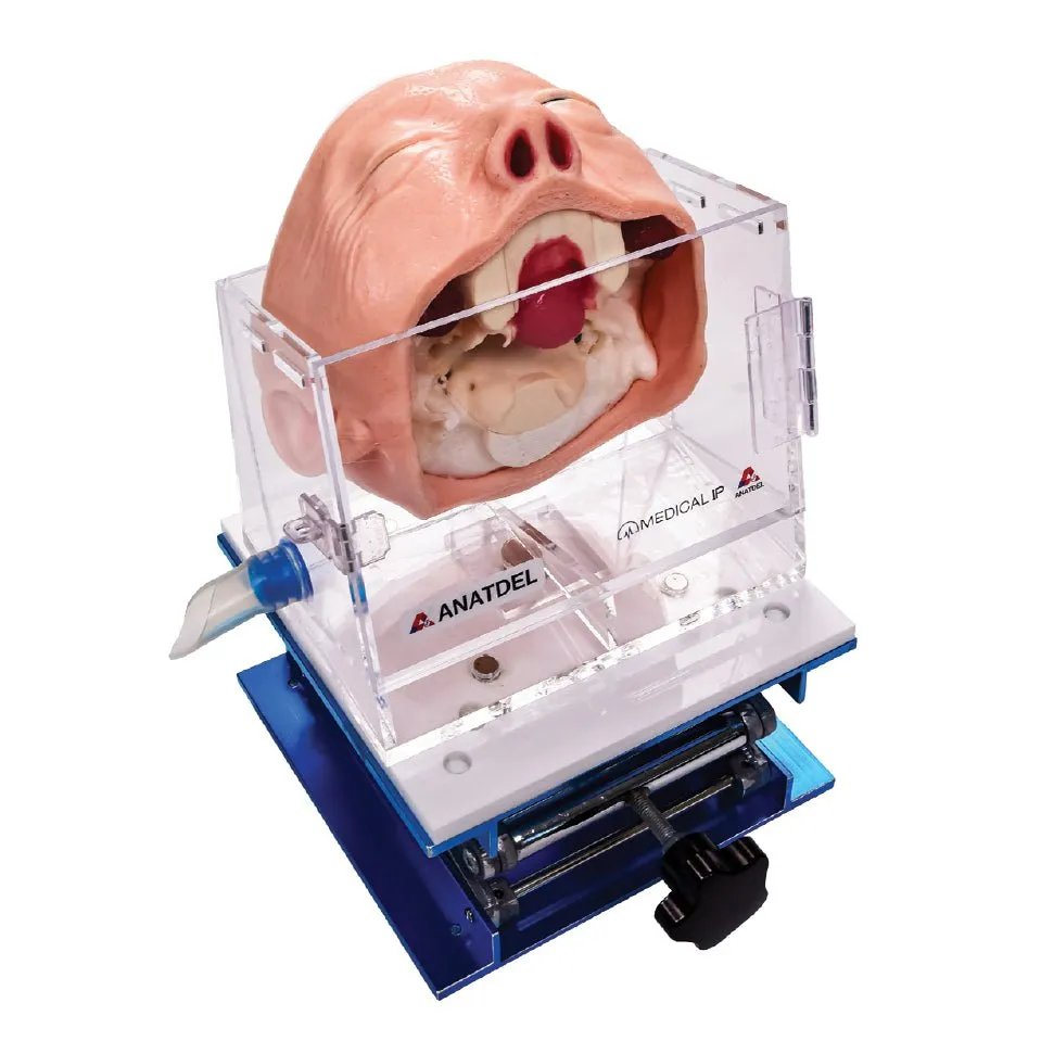 Skull Base Surgery Simulator