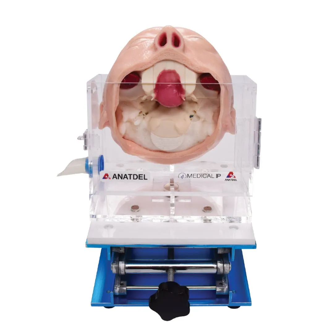 Skull Base Surgery Simulator