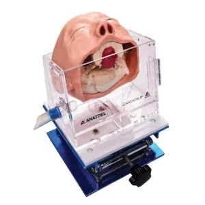 Skull Base Surgery Simulator