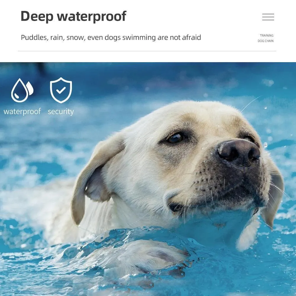 Waterproof Dog Training Collar: Advanced Control & Long Range
